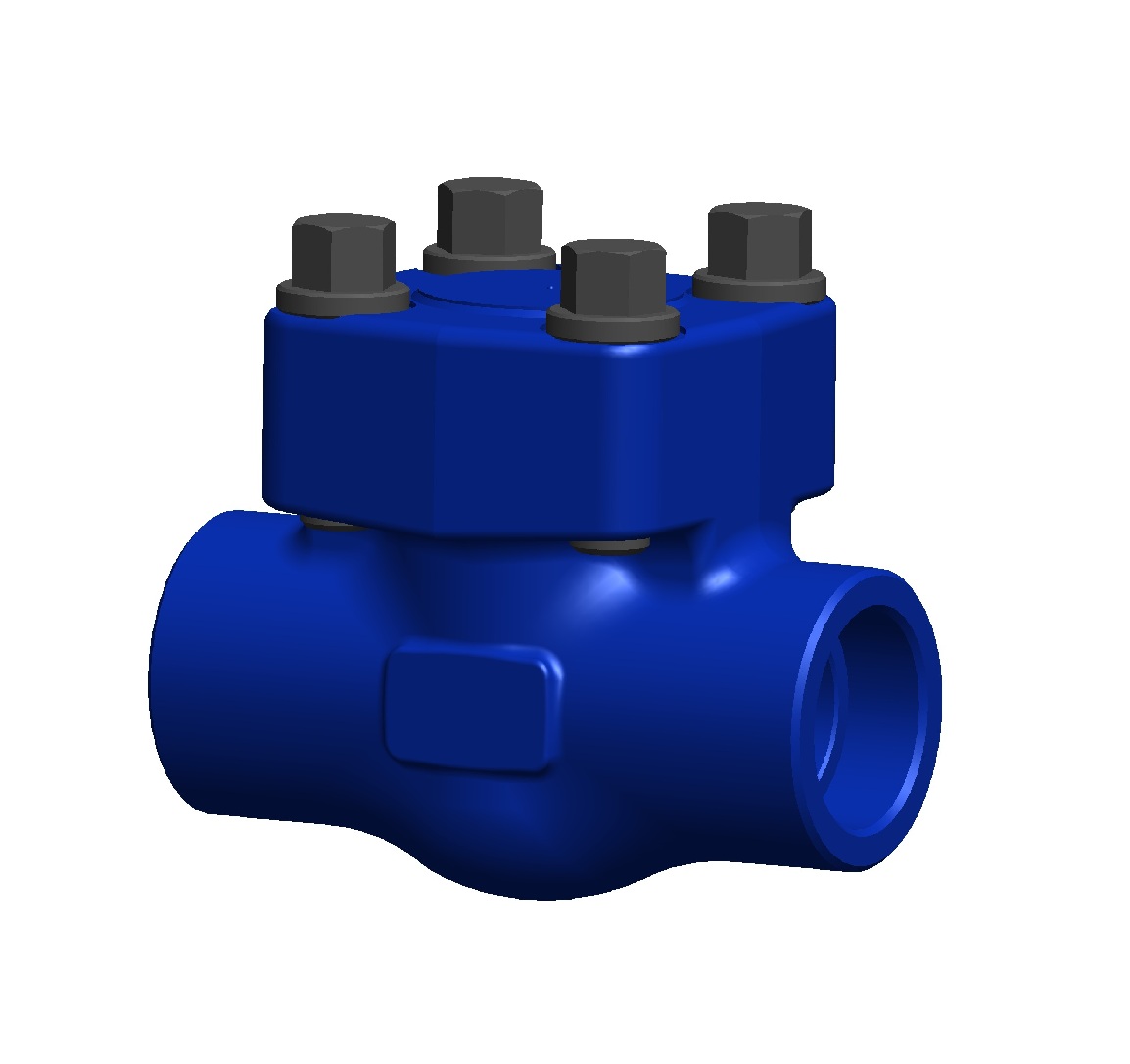 Check Valve