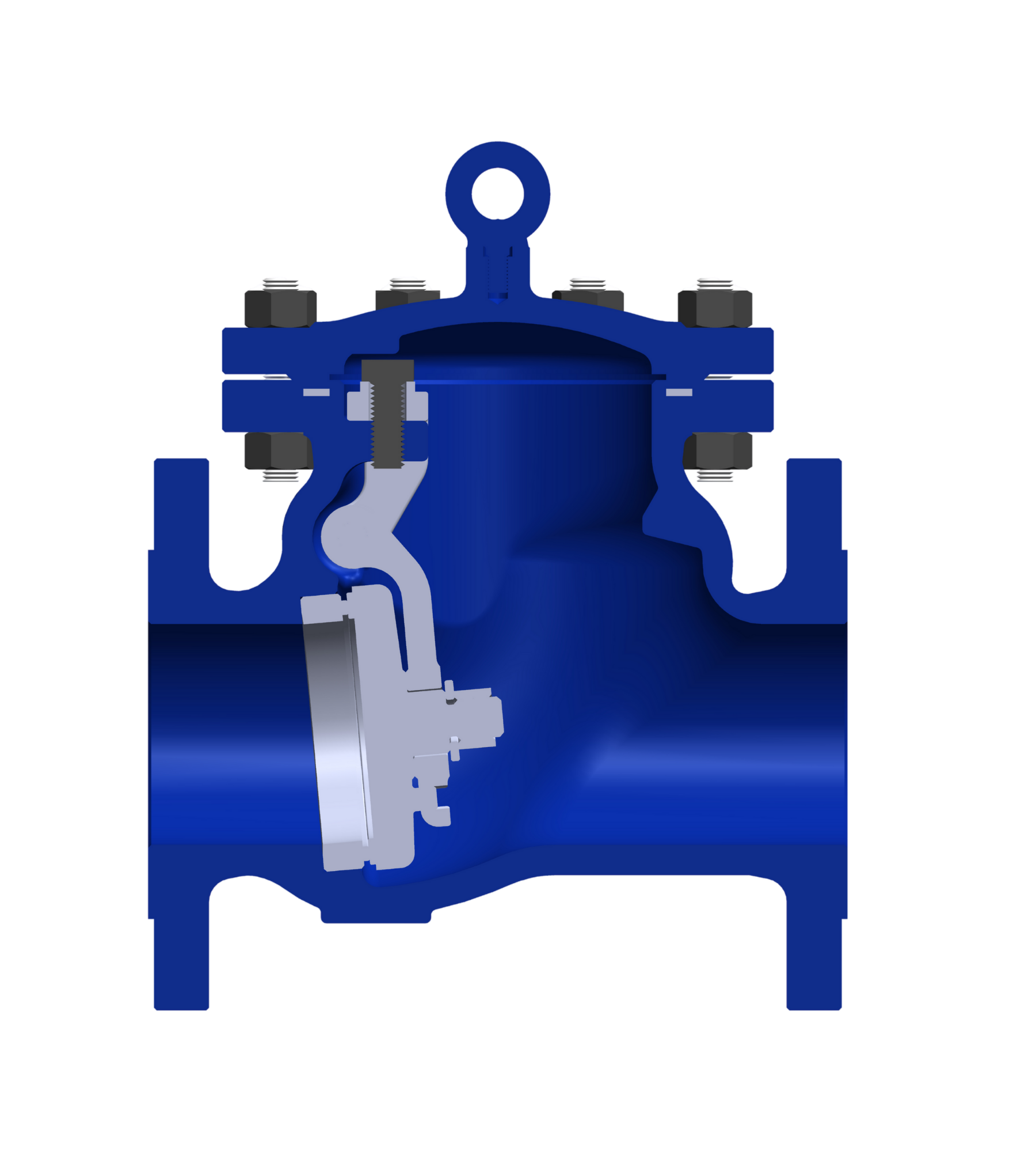Check valve cast 2