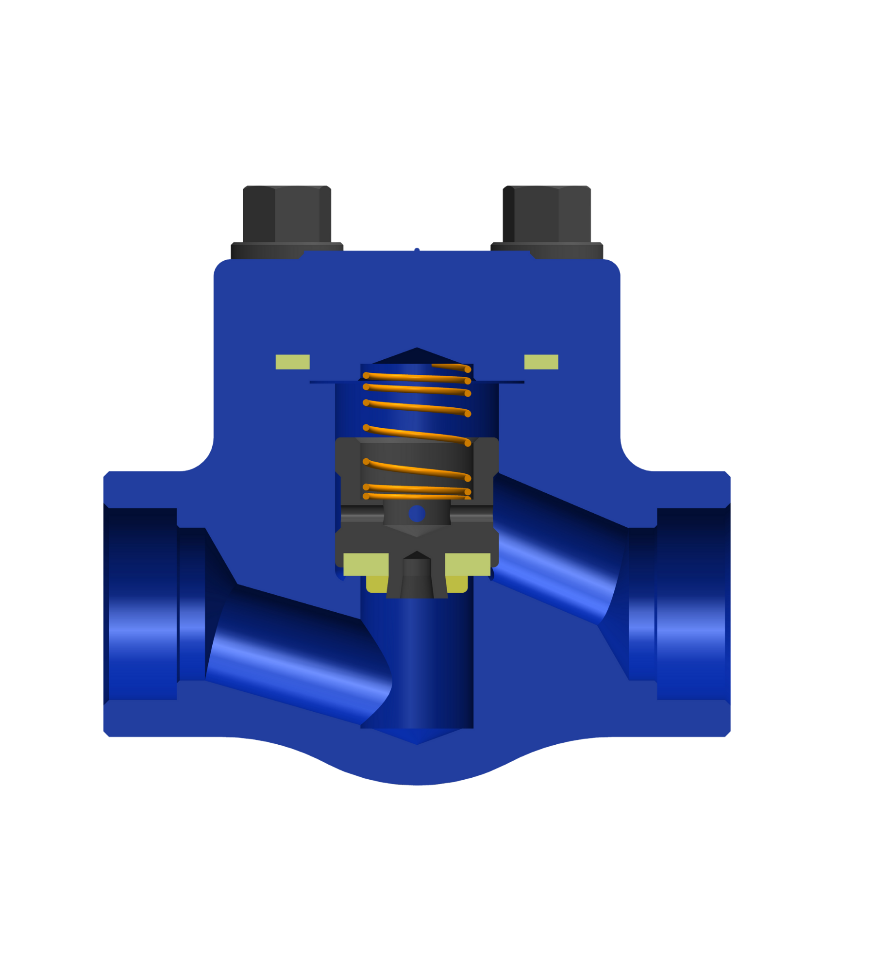 Check valves-2